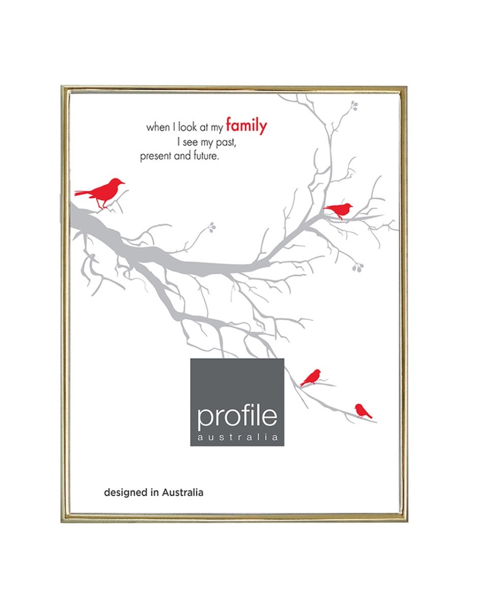 Profile Habitat Brass Metal 4x6 Inch Photo Frame