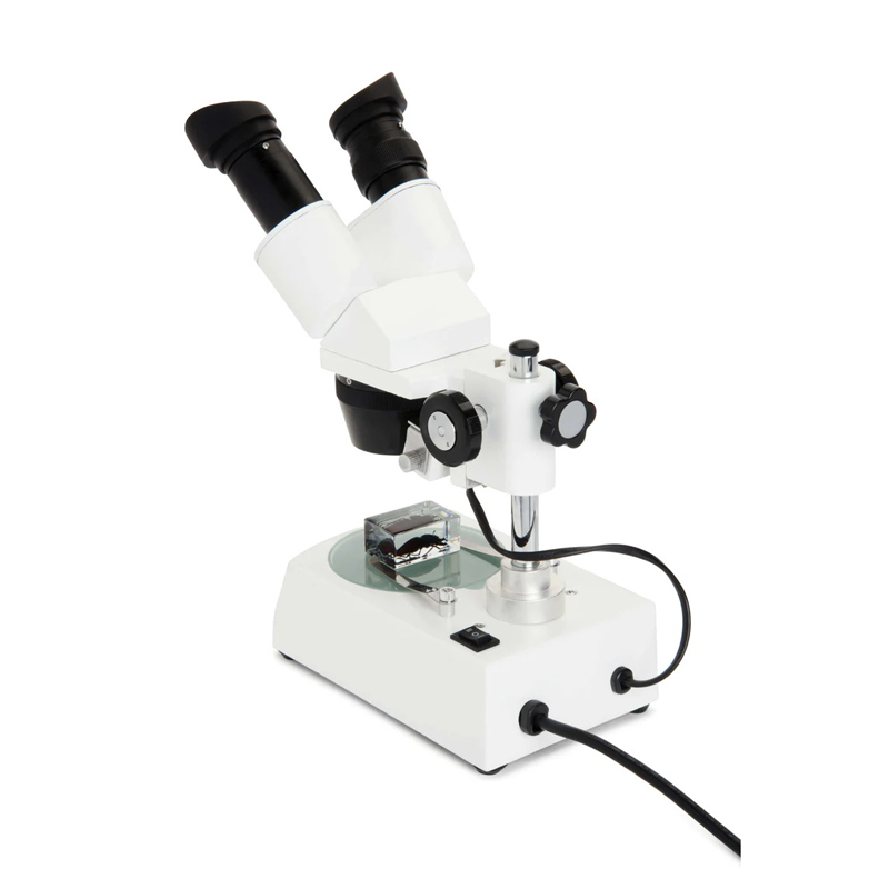 Celestron Labs S10-60 Deluxe Stereo Microscope