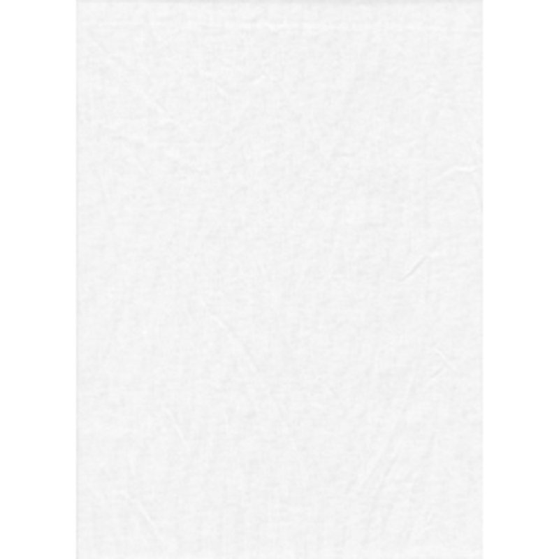Master Backdrop Poly Cotton 6'x10' Solid - White
