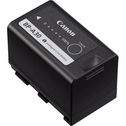 Canon BPA30 Battery Pack