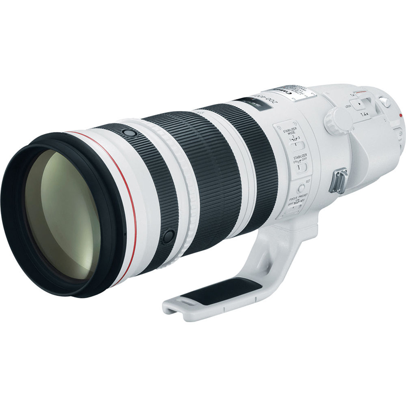 Canon EF 200-400mm f/4L IS USM Lens with Internal 1.4x Extender