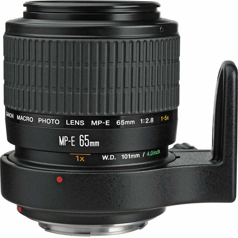 Canon MP-E65mm f/2.8 1-5x Macro Lens