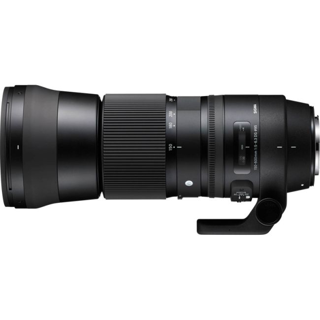 Sigma 150-600mm f/5-6.3 DG OS Contemporary Lens for Nikon | Camera