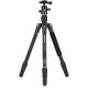 Benro FTA18AB0 Travel Angel Tripod with Ballhead
