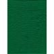 Master Backdrop Poly Cotton 10'x20' Solid - Chroma Green