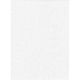 Master Backdrop Poly Cotton 6'x10' Solid - White