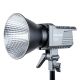 Aputure Amaran 100D Daylight LED Light