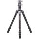 Benro Rhino 34C Carbon Fiber Tripod with VX30 Head