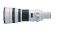 Canon EF 600mm f/4L IS USM