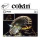 Cokin P058 Star Effect 2 Point Filter