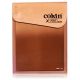 Cokin X121L Gradual Grey G2 Light ND2 Filter