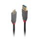 Lindy 1m USB-A to USB-C Cable Anthra Line