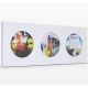 Lomography Fisheye Triple Frame