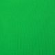 Master Backdrop Wrinkle Resistant 10'x12' - Chroma Green