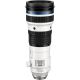 OM SYSTEM M.Zuiko ED 150-400mm f/4.5 TC1 24x IS PRO Telephoto Lens