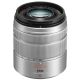 Panasonic Lumix G Vario 45-150mm f/4.0-5.6 Aspherical MEGA O.I.S. Lens (Silver)