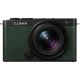Panasonic Lumix S9 w/ 18-40mm f/4.5-6.3 Lens Kit - Green Compact System Camera
