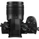 Panasonic Lumix G95 + 12-60mm Lens