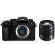 Panasonic Lumix G95 + 14-140mm II Lens
