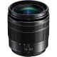 Panasonic Lumix G Vario 12-60mm f/3.5-5.6 ASPH. POWER O.I.S. Lens