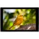 Portkeys HD7T - 7-Inch Touchscreen Monitor with Professional Tools