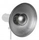 Pro Line Beauty Dish