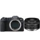 Canon EOS RP body w/ RF 50mm f/1.8 STM Lens