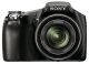 Sony Cybershot DSC-HX100