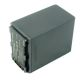 Sony NP-FH100 Rechargeable Battery