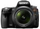 Sony SLT-A55 Digital SLR