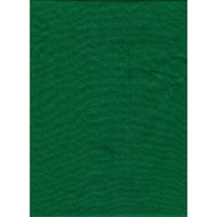 Master Backdrop Poly Cotton 10'x20' Solid - Chroma Green