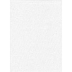 Master Backdrop Poly Cotton 10'x20' Solid - White