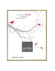 Profile Habitat Brass Metal 5x7 Inch Photo Frame