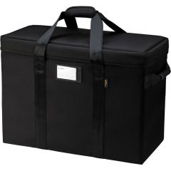 Tenba Air Case for Profoto Pro-10 for 2 Heads