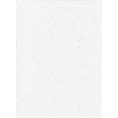 Master Backdrop Poly Cotton 6'x10' Solid - White