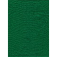 Master Backdrop Poly Cotton 6'x10' Solid - Chroma Green