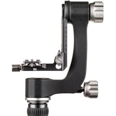 Benro Gimbal Head, PL100 Plate