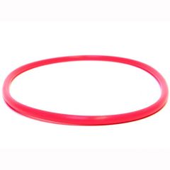 Olympus POL-U1 O-Ring For UFL-1 Underwater Flash