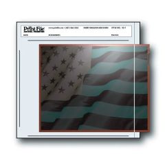 Print File 45-1 (100) 1 - 4" x 5" Negative or Transparency Pack of 100