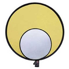 Master SystemPro ReflectaDisc - Silver/Gold 12"