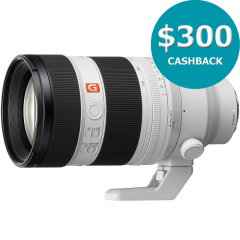 Canon EOS Ra Body