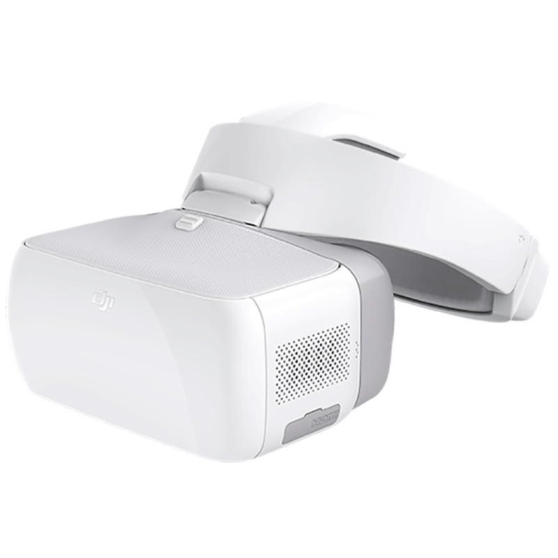 DJI Goggles