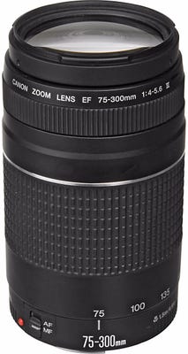 Canon EF 75-300mm f/4-5.6 III Lens