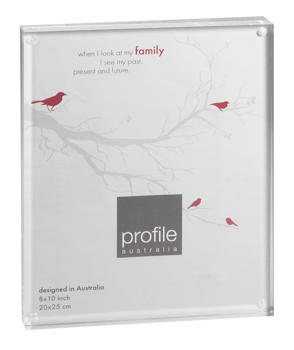 Profile Newton 8 x 10 Picture Frame