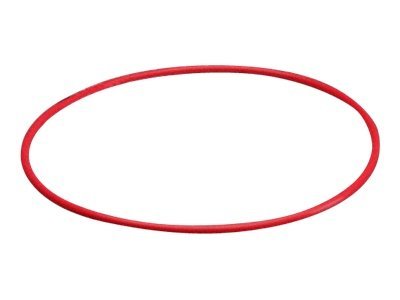 Olympus POL-029 O-Ring For PT-029 and PT-034