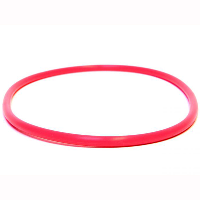 Olympus POL-030 O-Ring For PT-030