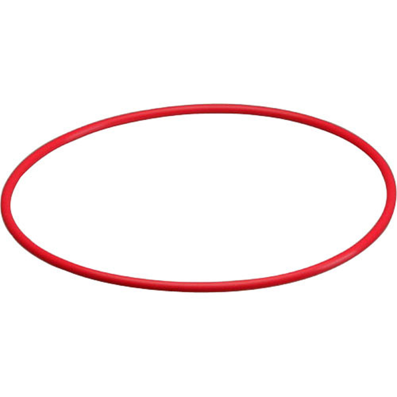 Olympus POL-053 O-ring for PT-053 & PT-056