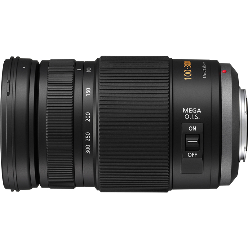 Panasonic Lumix G Vario 12-32mm f/3.5-5.6 Aspherical Mega O.I.S ED Lens (Silver