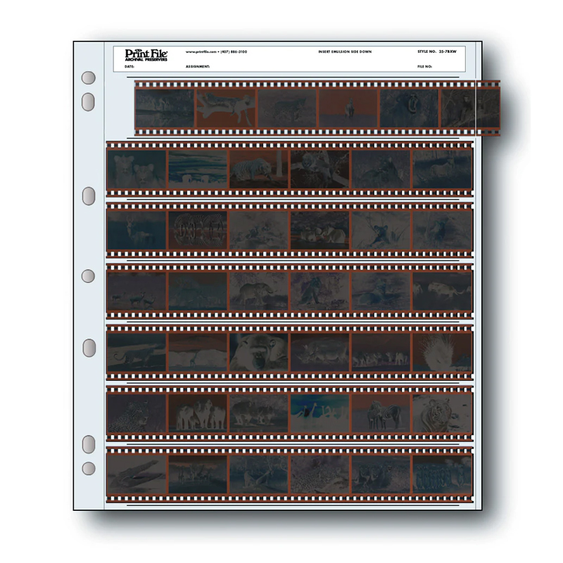 Print File 35-7BXW (100) 7 - 35mm Strips - Total 42 Frames Pack of 100