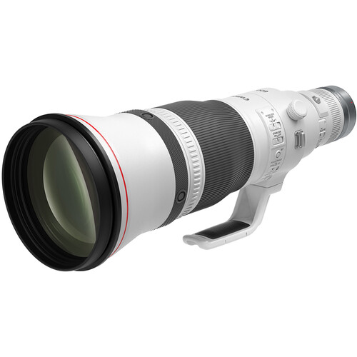 Canon RF 600mm f/4L IS USM Lens